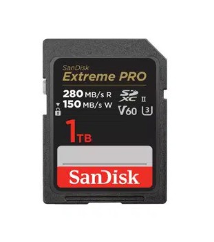 כרטיס EX PRO SD 280S V60 6K   1T