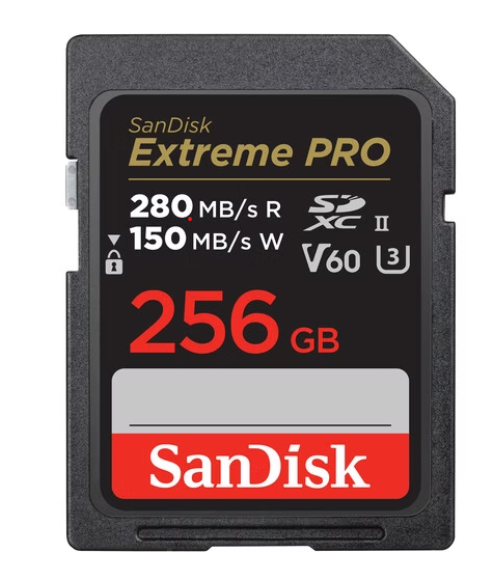 כרטיס EX PRO SD 280S V60 6K 256G
